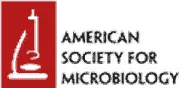 American Society for Microbiology